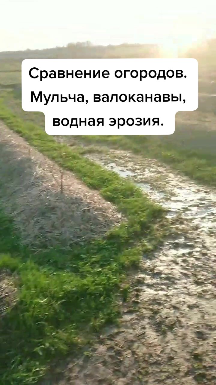 @meltdown_deep
