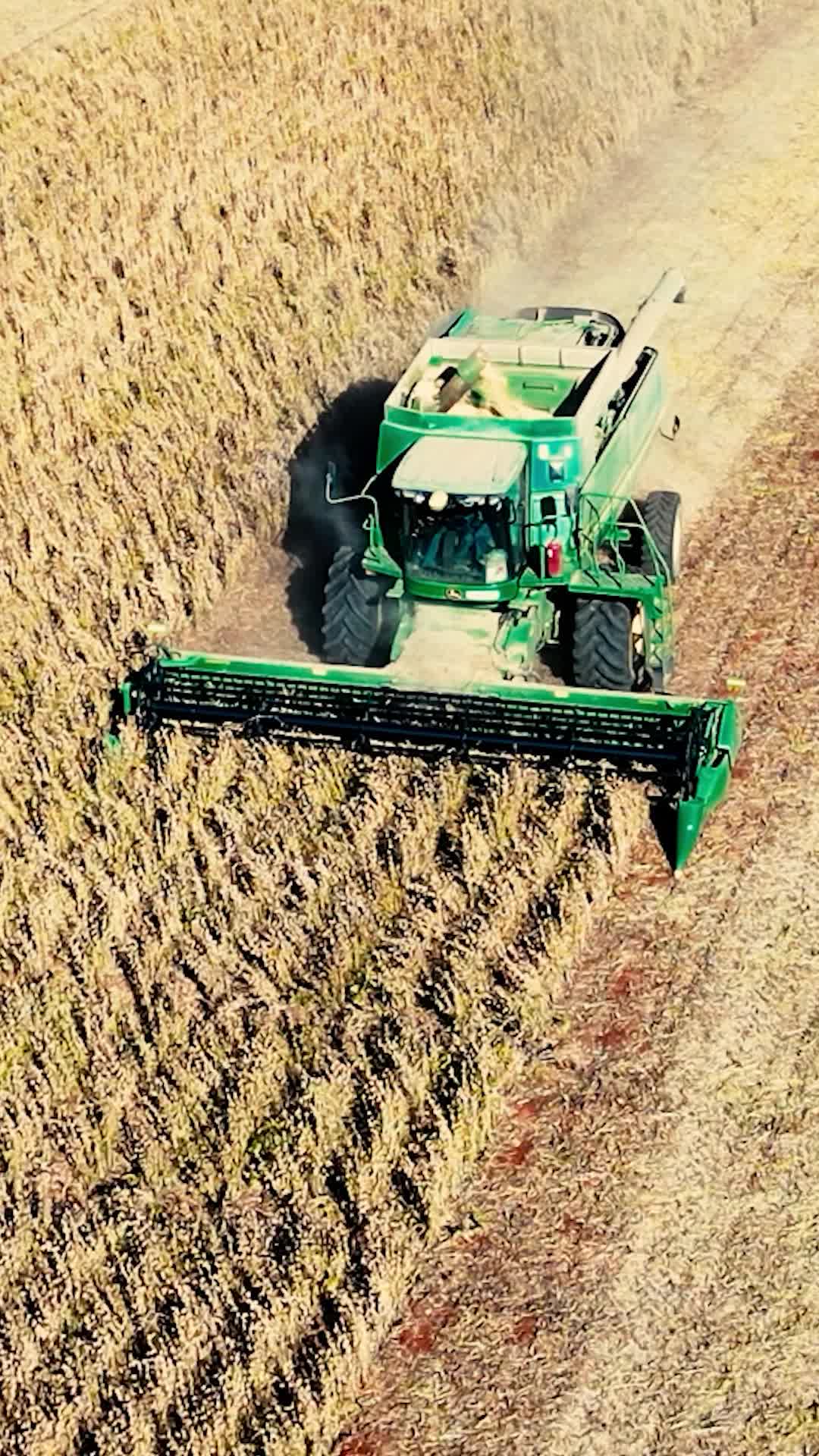 @Frankly Farming