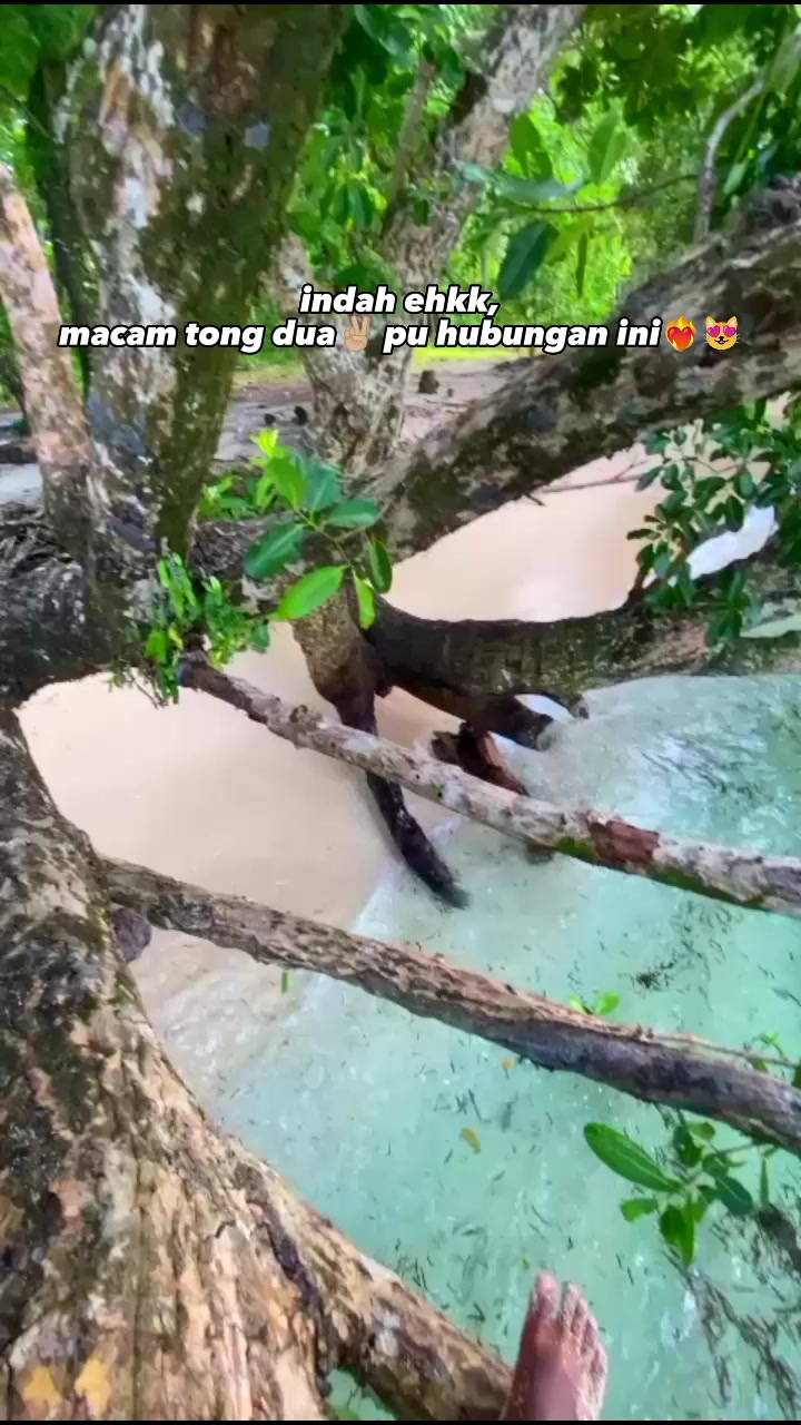 @➂❷𝖇𝖆𝖒𝖇𝖆𝖓𝖐𝖘𝖆𝖞𝖚𝖗𝖎☑