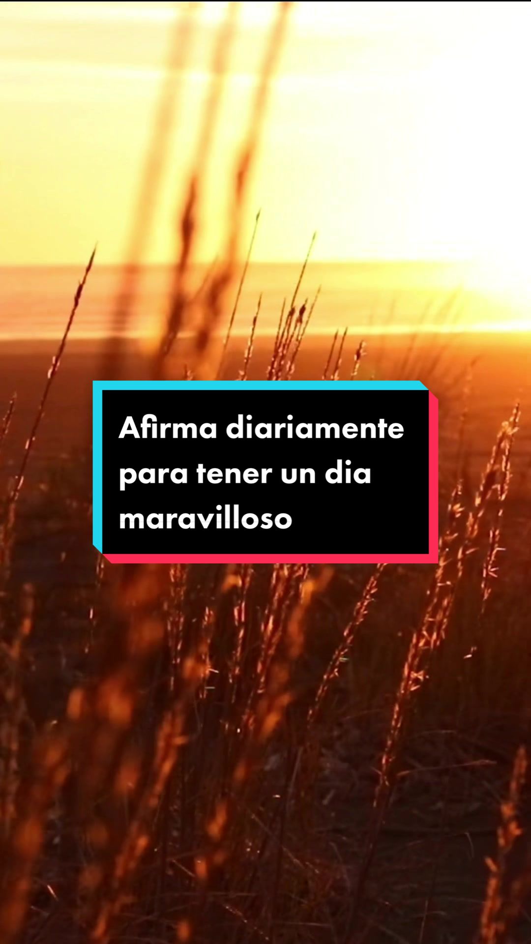 @Vitaminas de &Eacute;xito