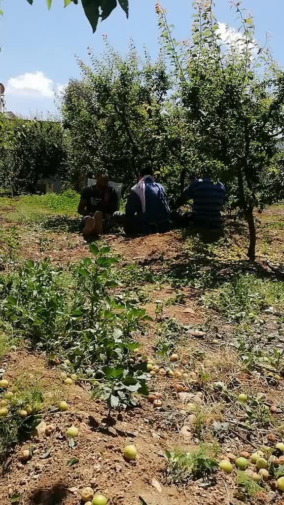 @yarım kalan 🌙 ışığı