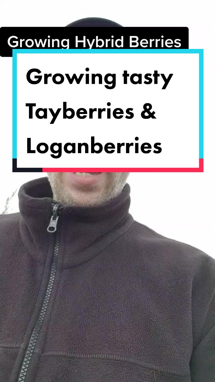 @GrowFruitandVeg