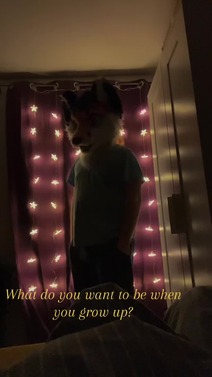 @StripeDaFox