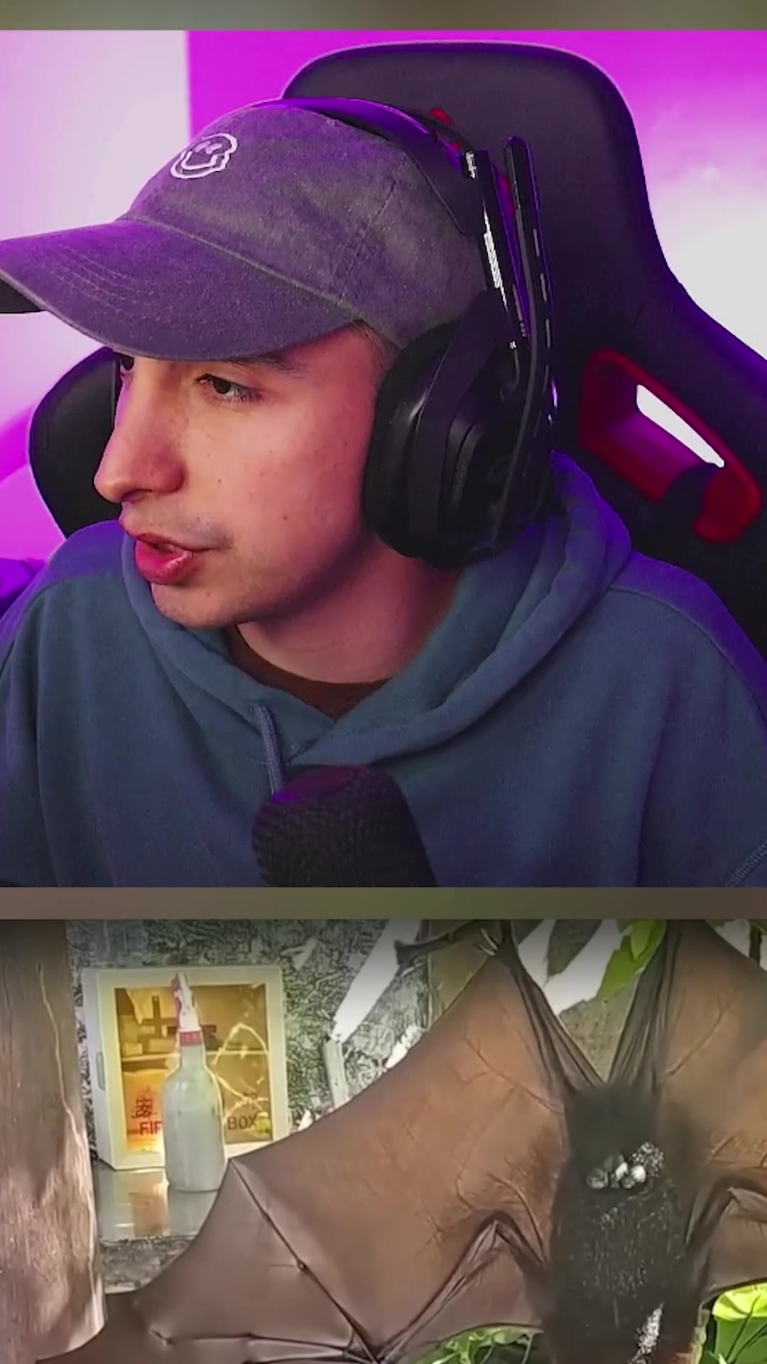 @Chavatj