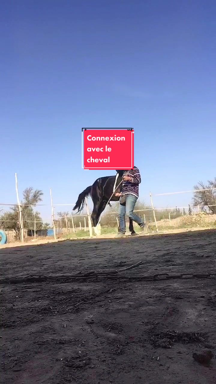 @Les&ensp;&eacute;curies&ensp;de&ensp;la&ensp;roseraie