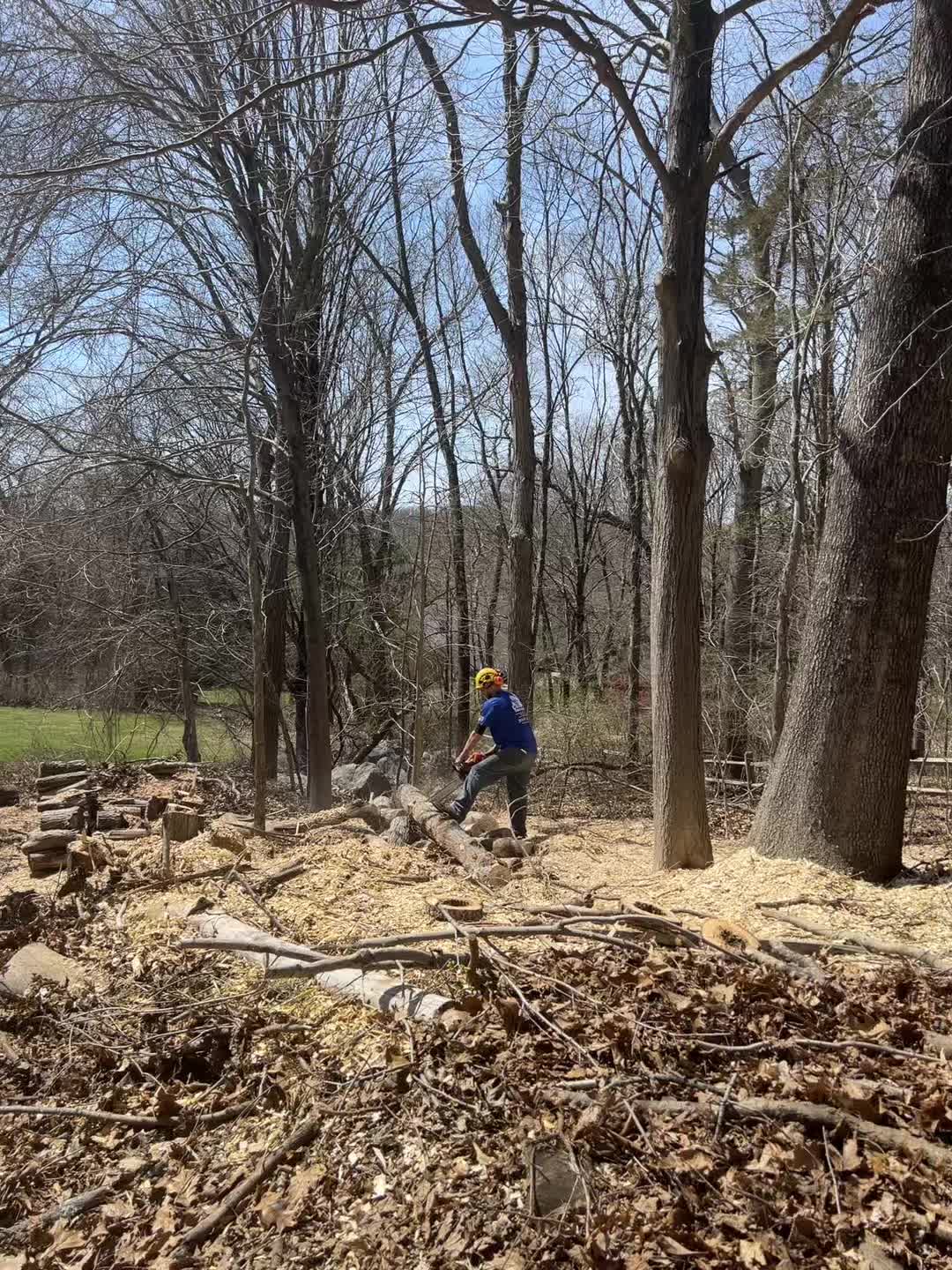 @Chads Tree Service