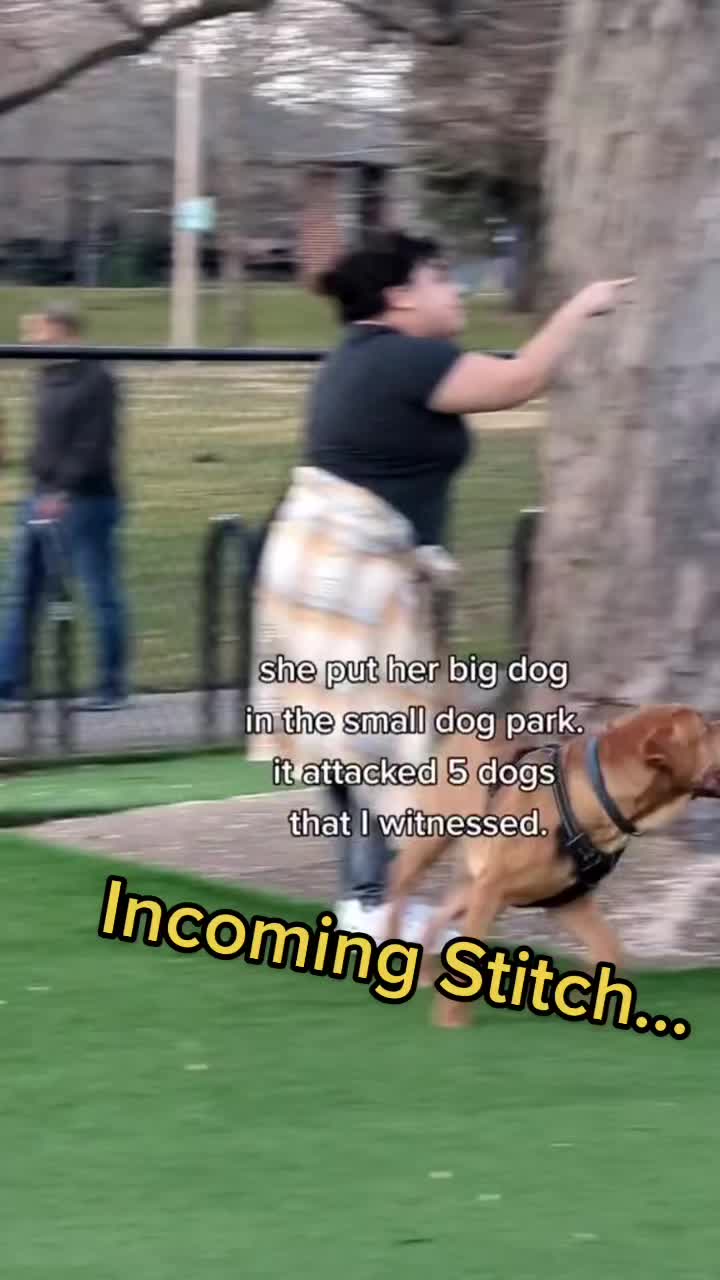 @Wiggles University