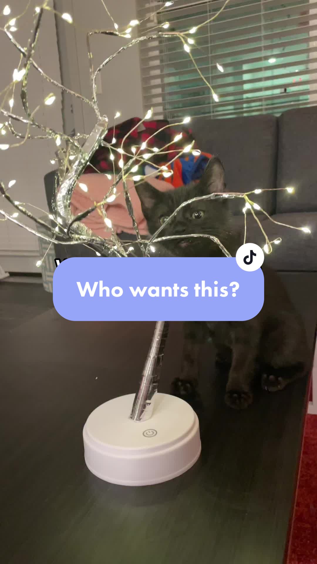 @Viral Lamps💫 & Home Decor🤤