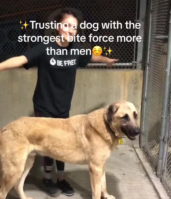 @leslie