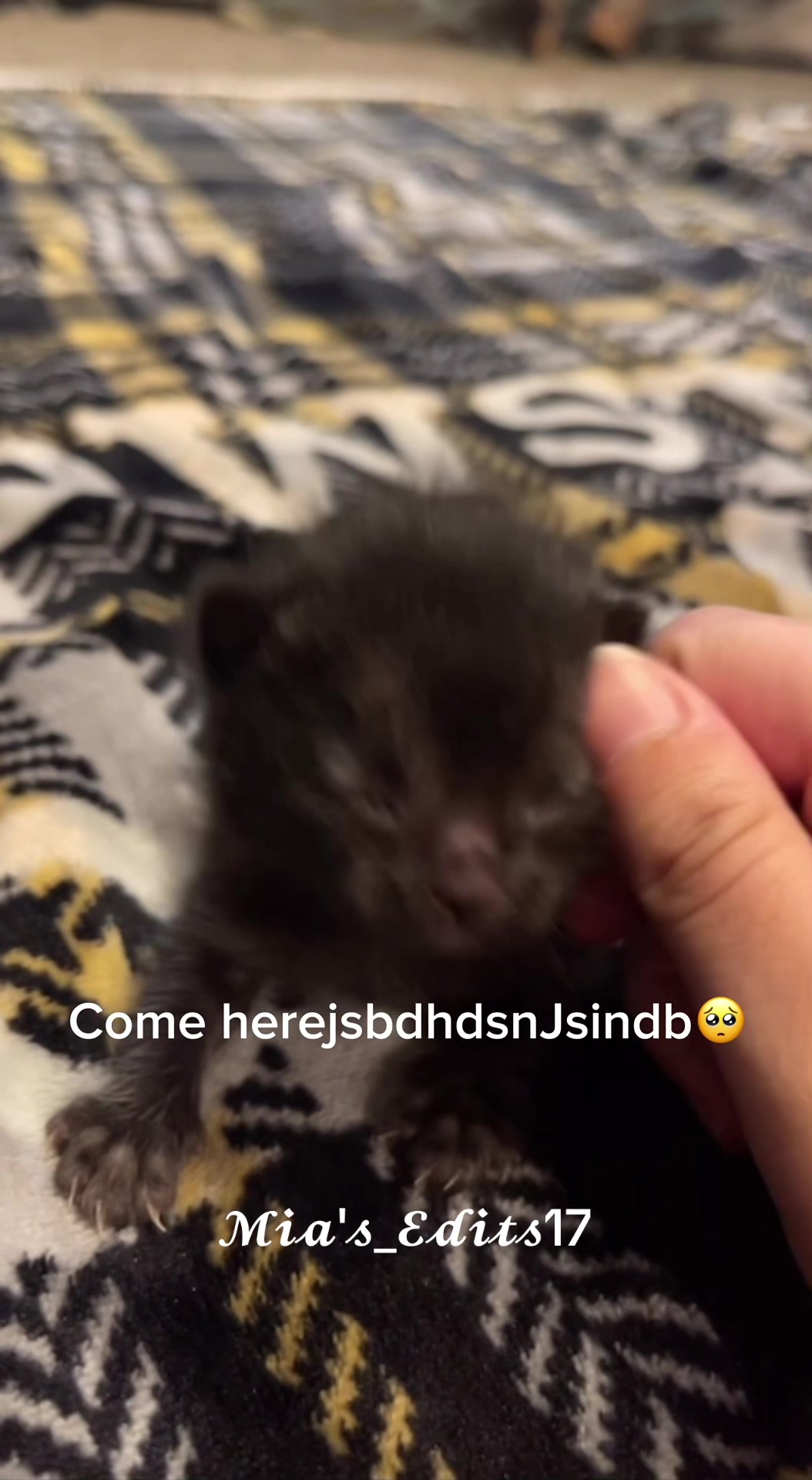 @🖤𝓜𝓲𝓪𝓼_𝓔𝓭𝓲𝓽𝓼17🖤