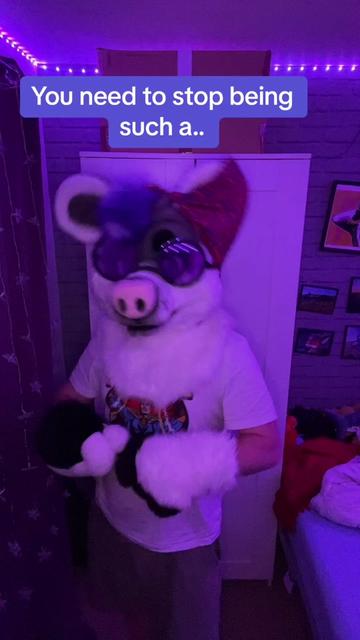 @StripeDaFox