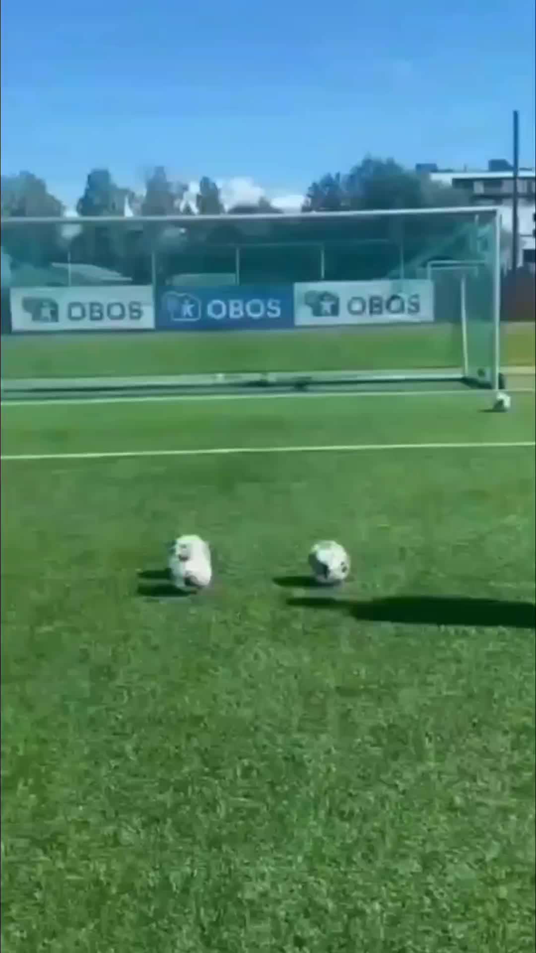 @W H  T A M I M