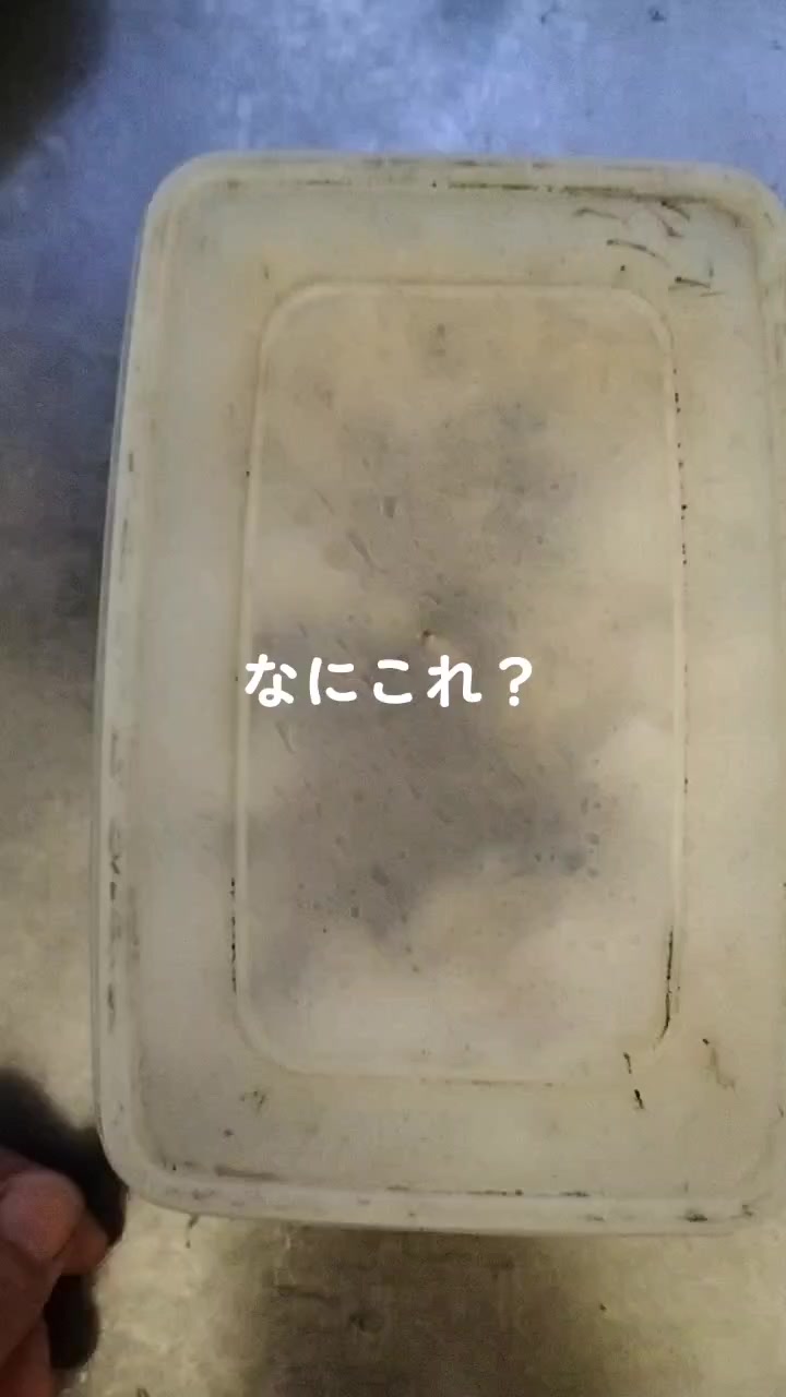 @ただくんdeath2