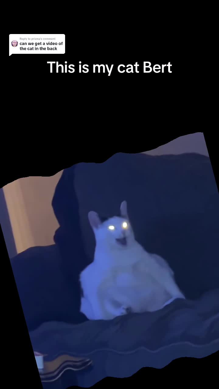 @brifartjigglemonster