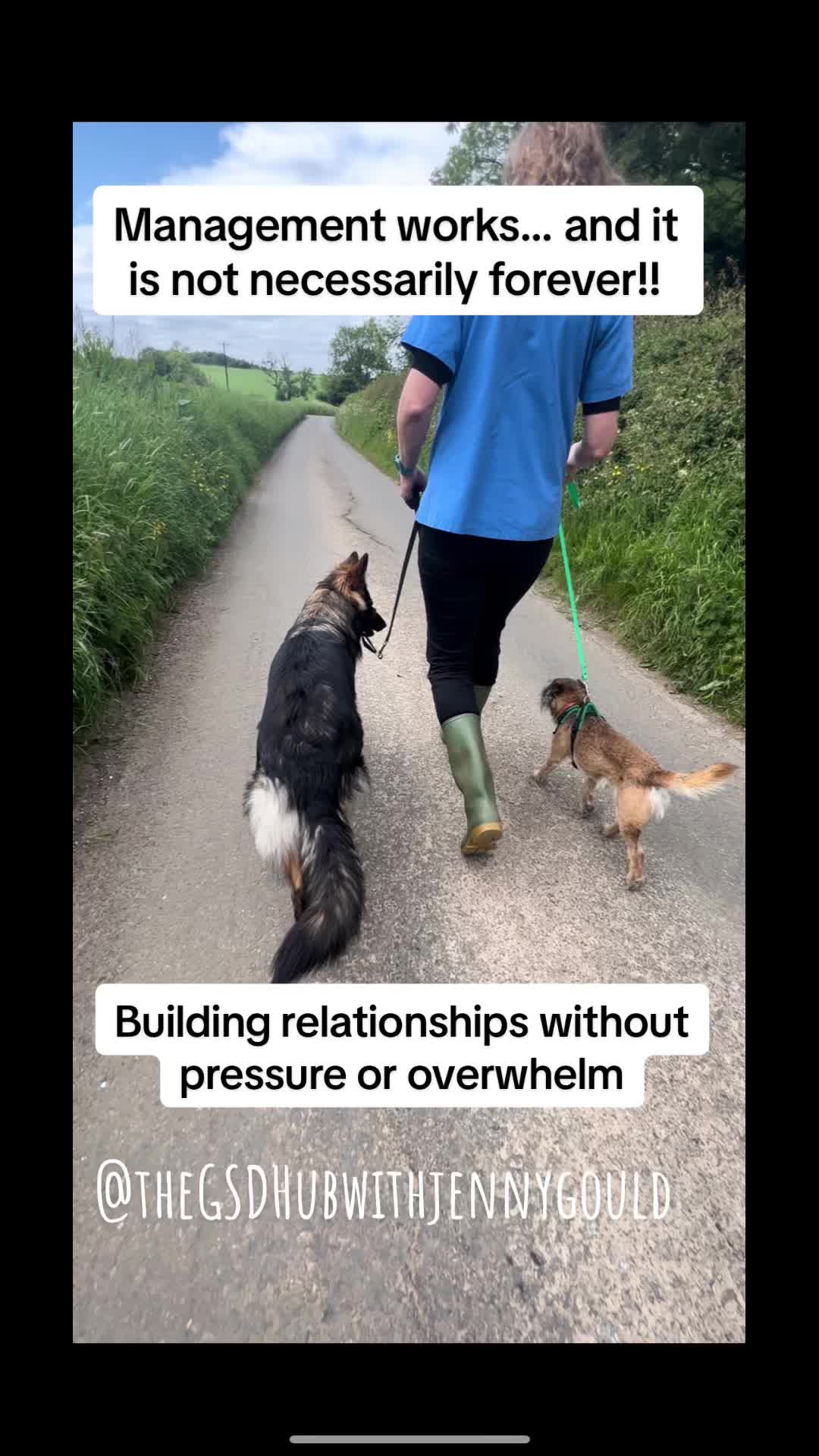 @TheGSDhubwithjennygould