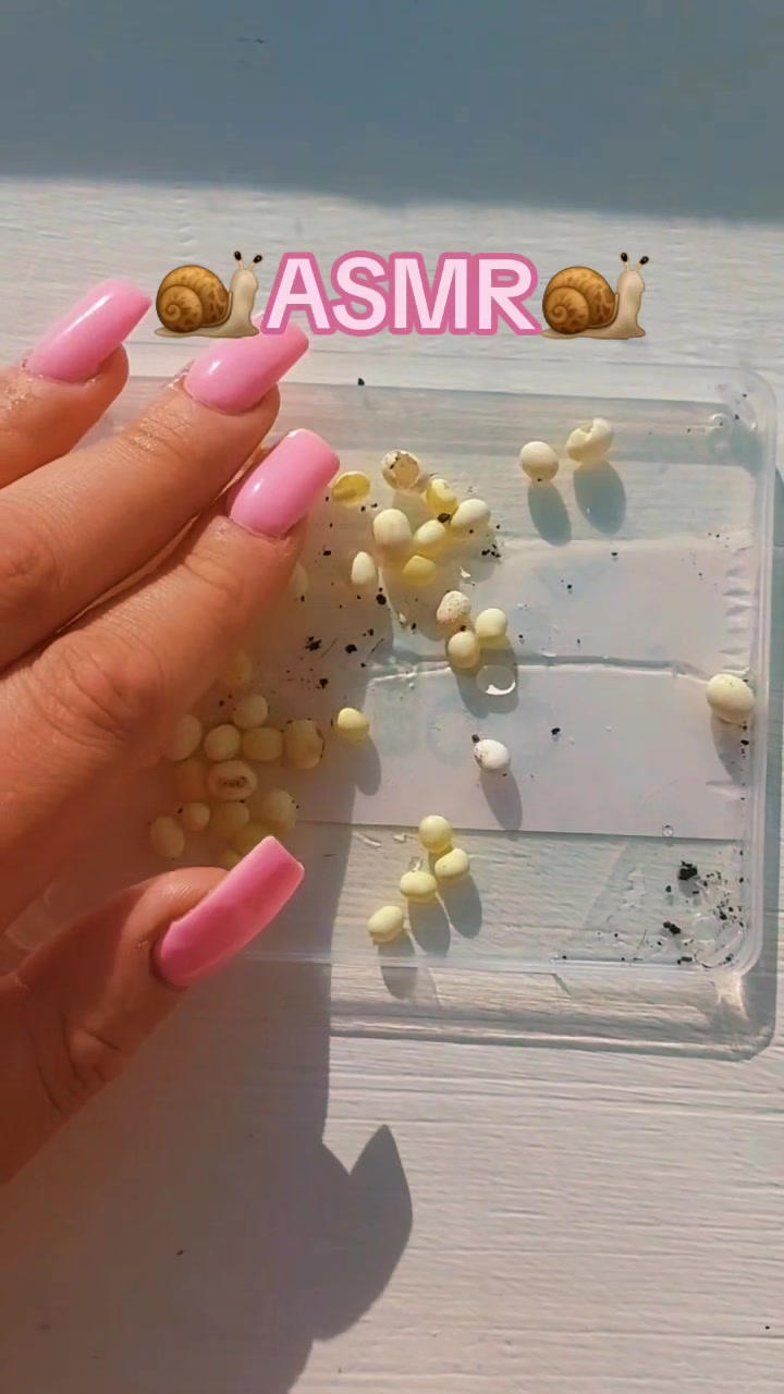 @🐌Яся Ясень🐌