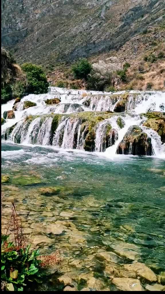 @Tala