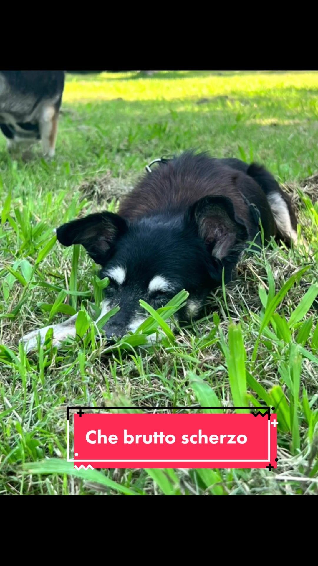 @Giacomina, la vecchia!!