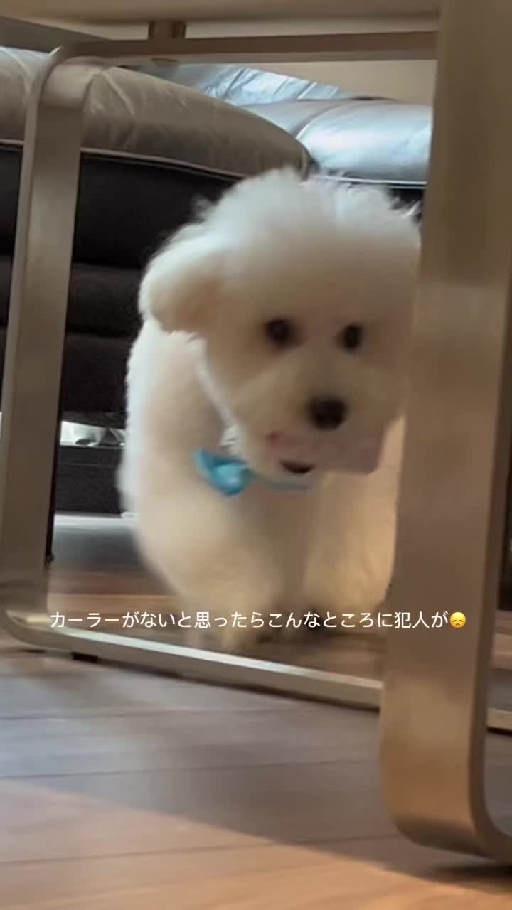 @치히로