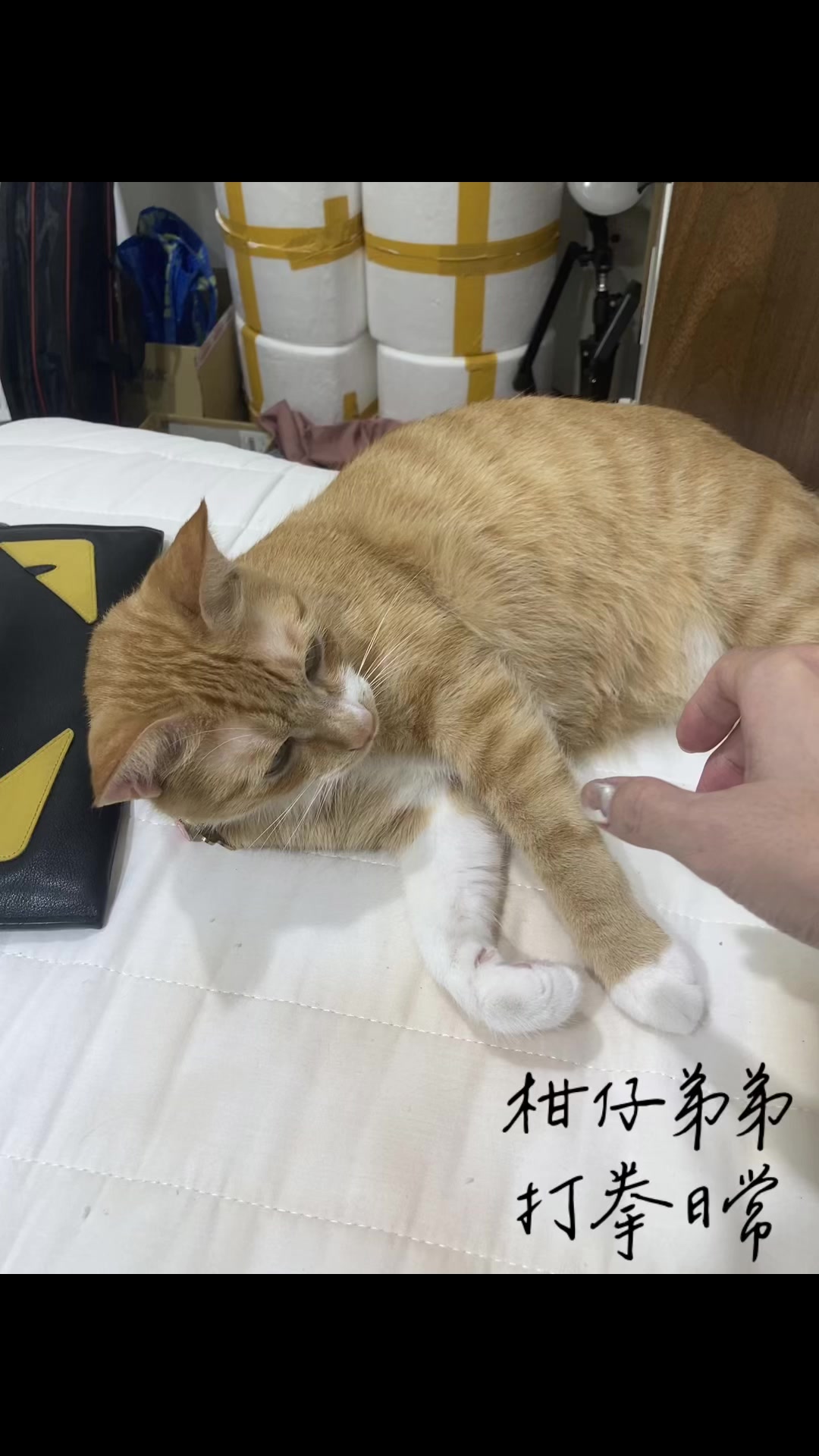 @柑仔弟弟