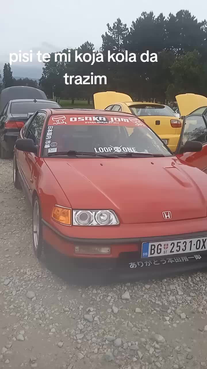 @spotted_cars.kg