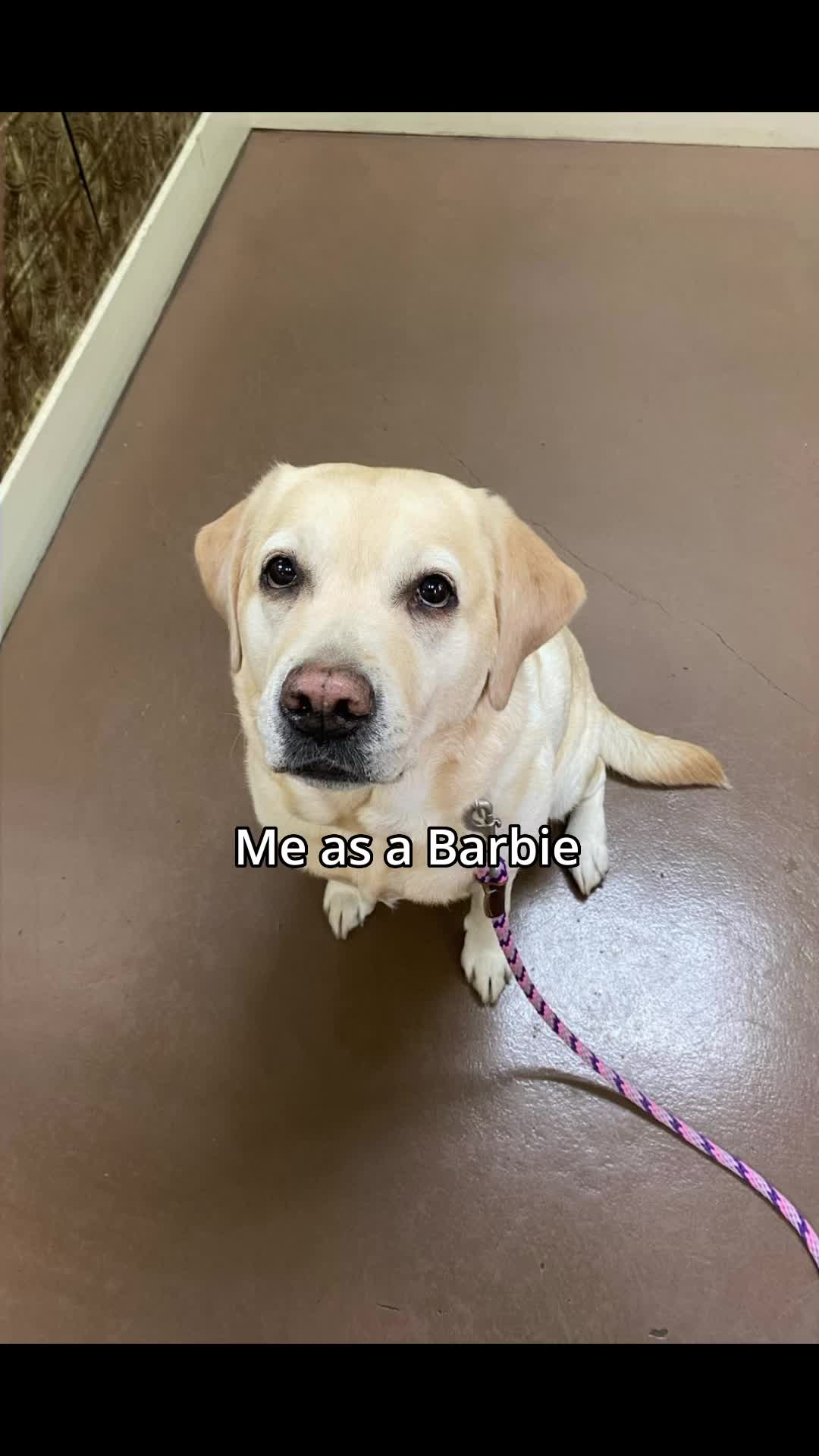 @Rashell