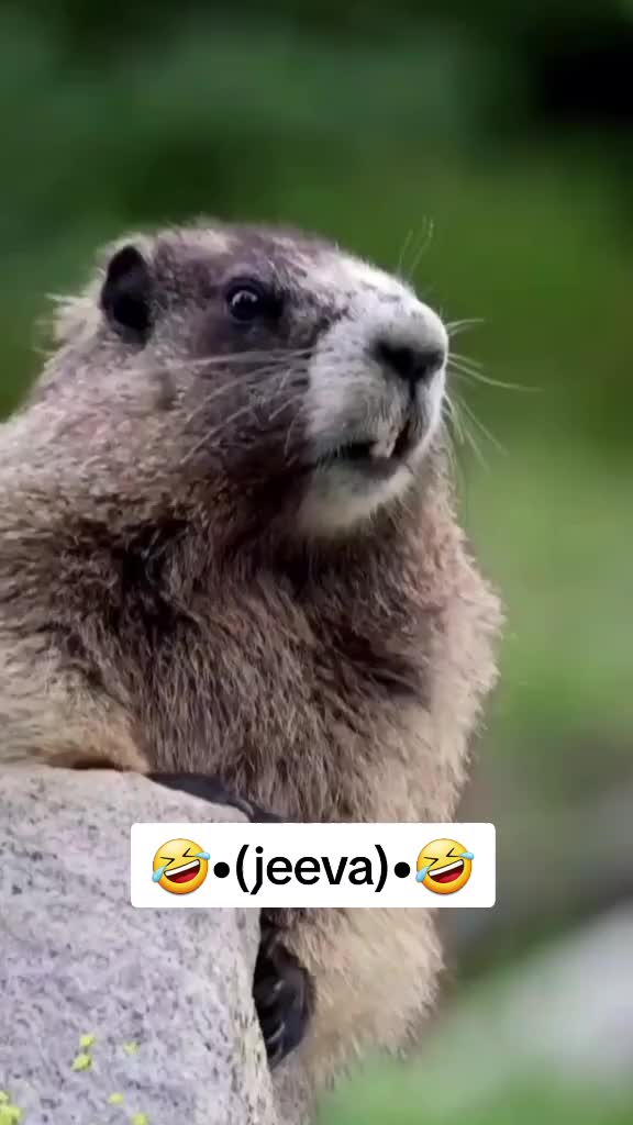 @☞ᛔիᶦᶬᥲ𝖛ᥲṛคṃ❈༄●⃝ᶫᵒꪜer࿐🖤