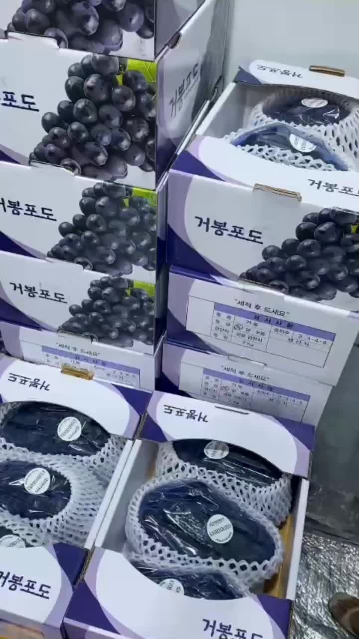 @Transfruits
