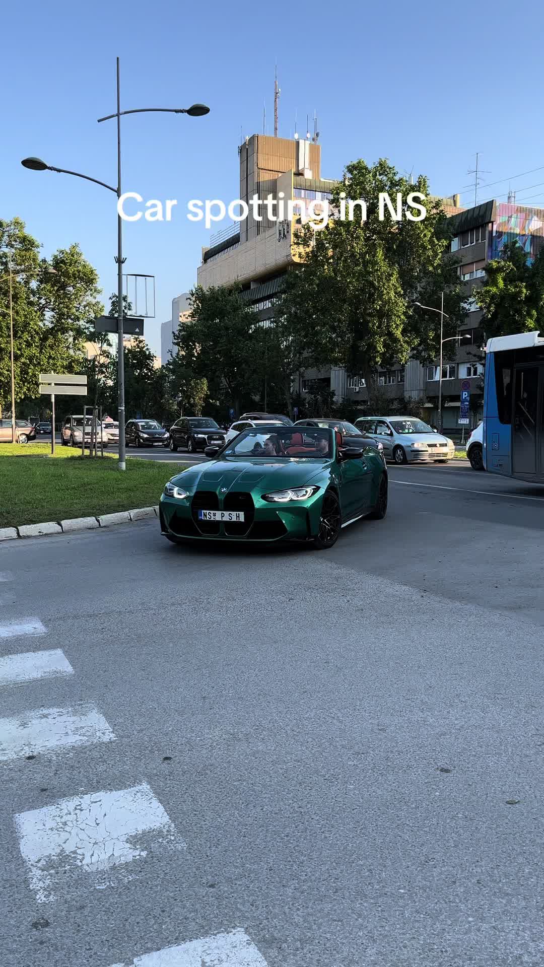@Ardelean.spotting