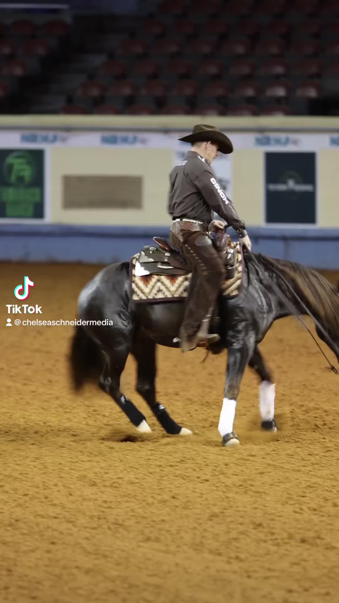 @Larson Performance Horses