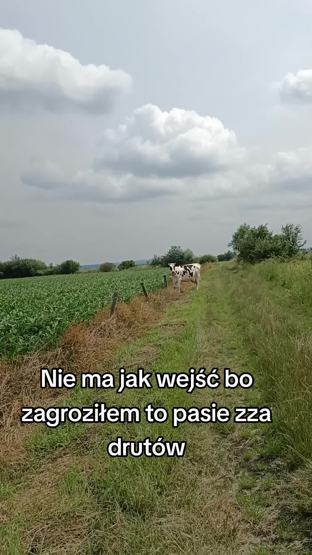 @Swiru97