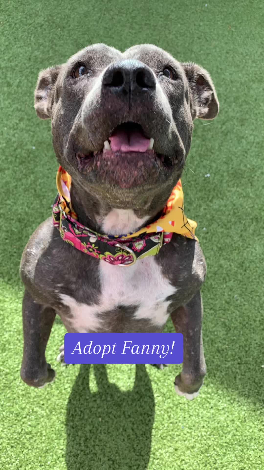 @OneLoveArizona
