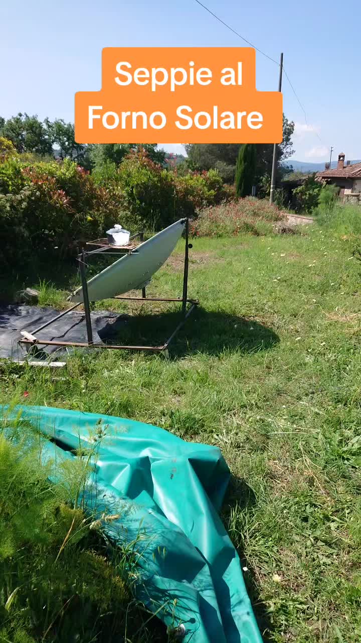 @ulivinico