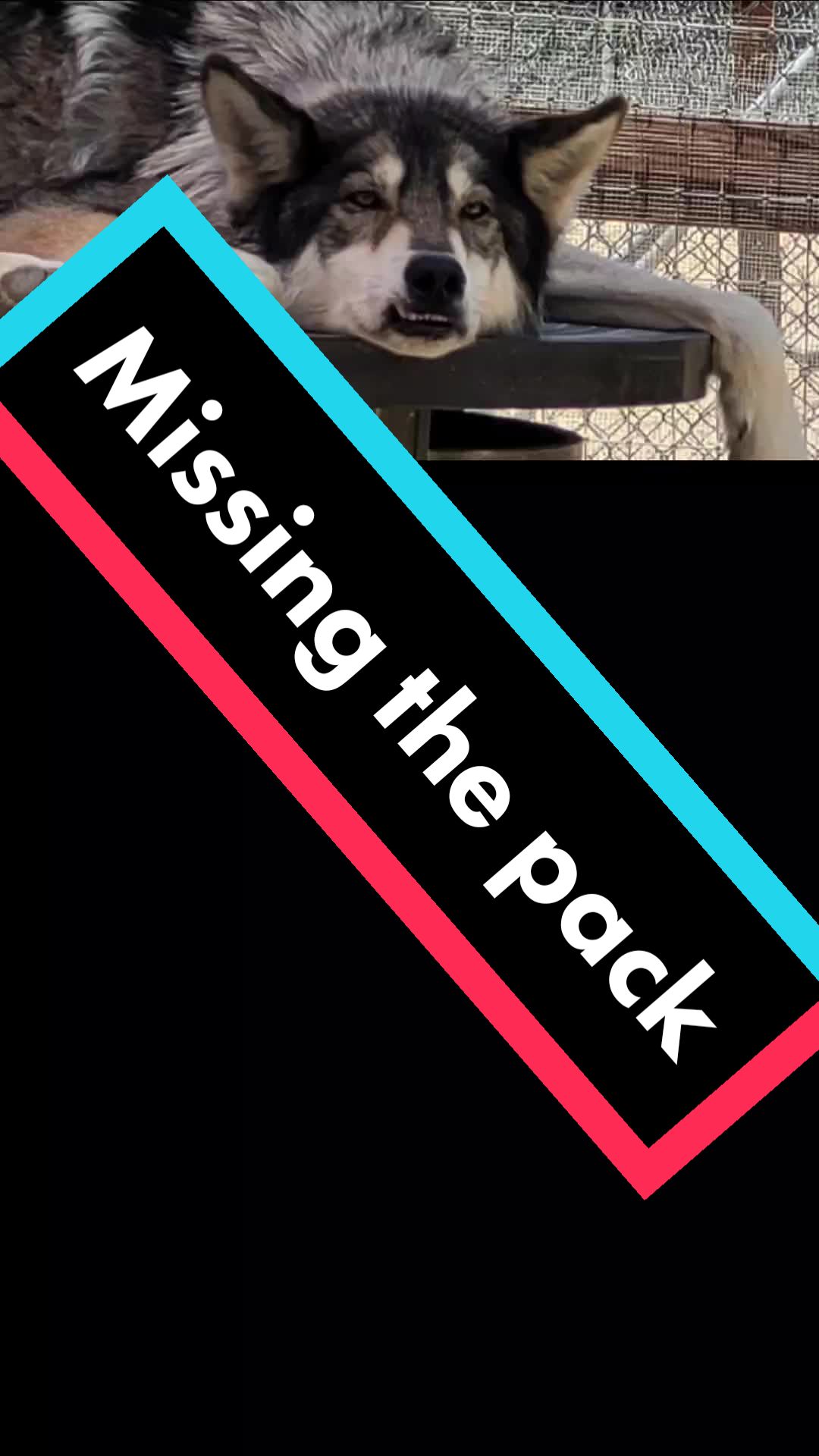 @Howling Ridge Co