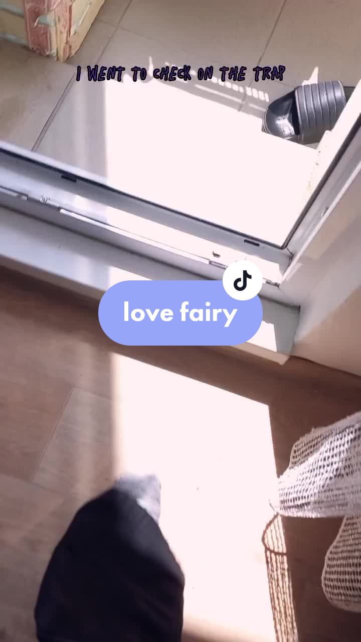 @▪︎fairy hunter▪︎