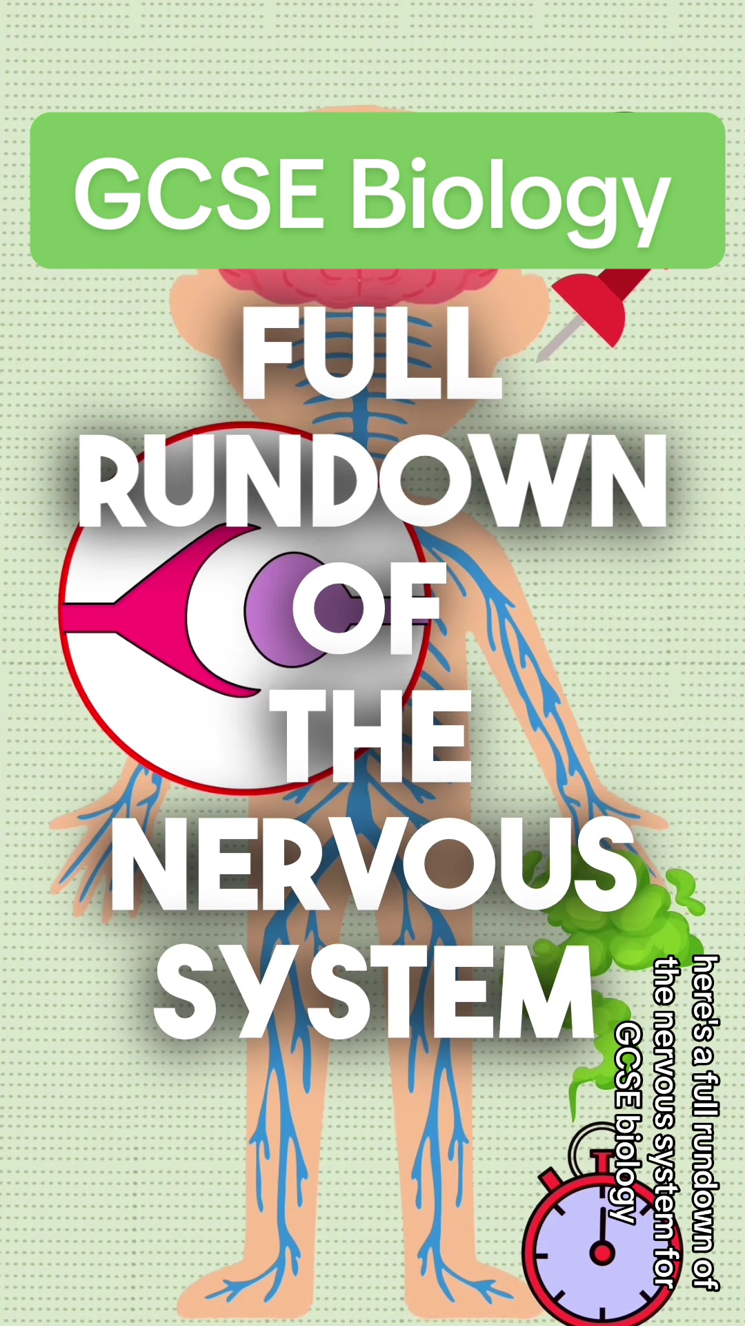 @FlashRevisionLab