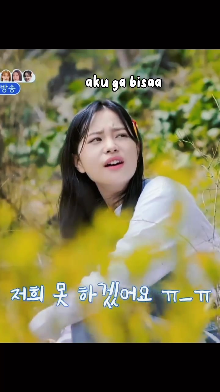 @hanjihyo