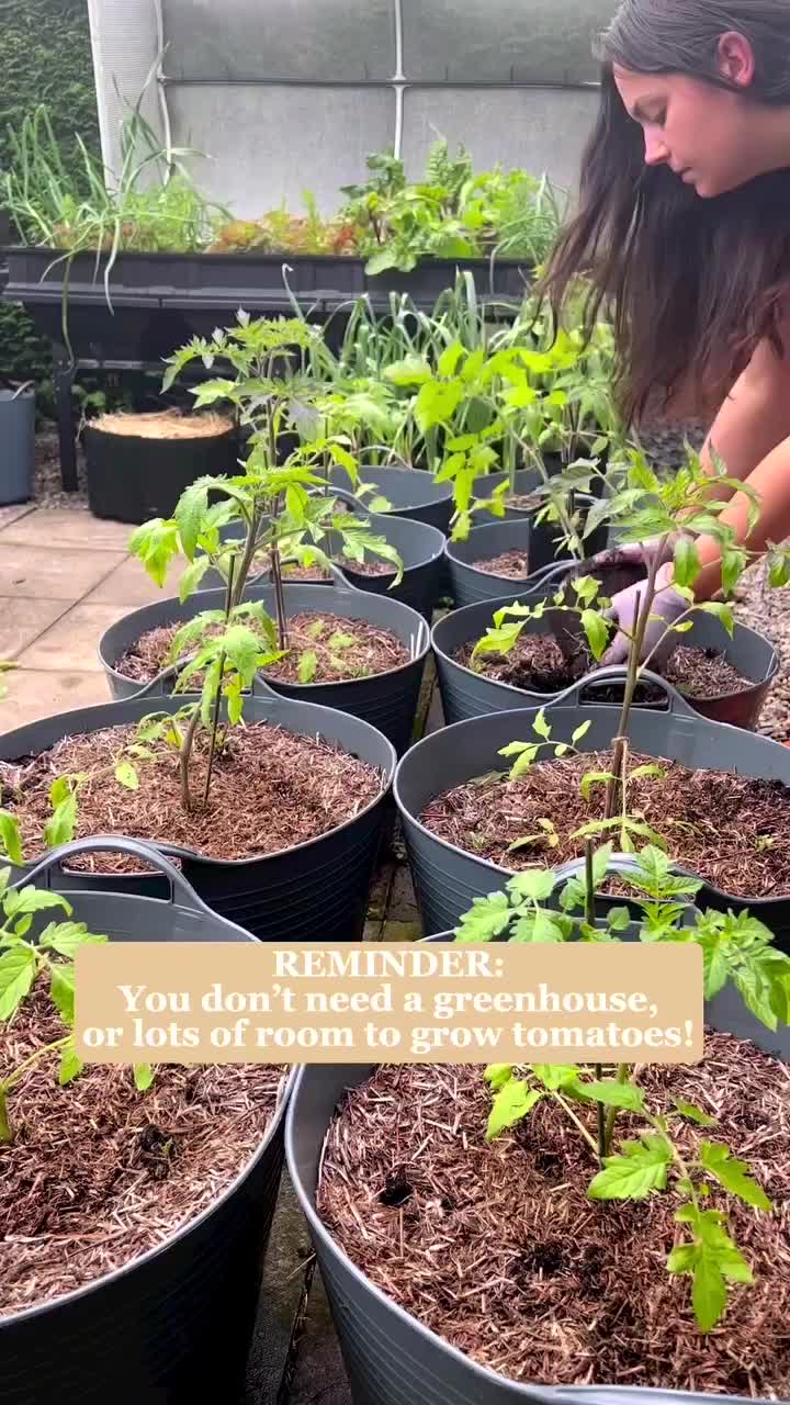 @Diary of a Yorkshire Gardener