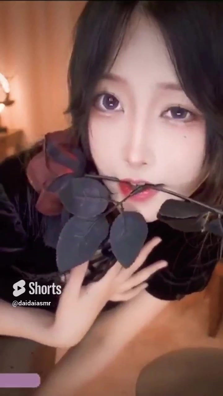 asmr-by-daidai-daidaiasmr-urlebird