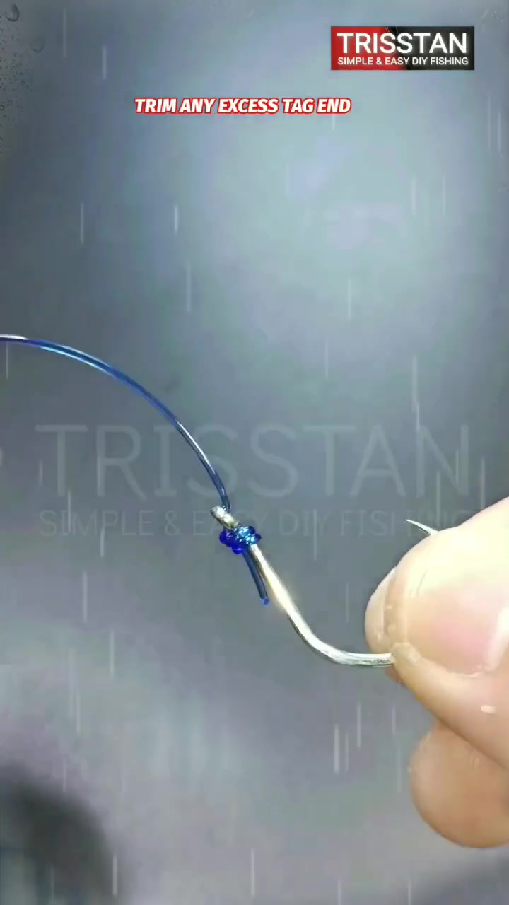@Trisstan