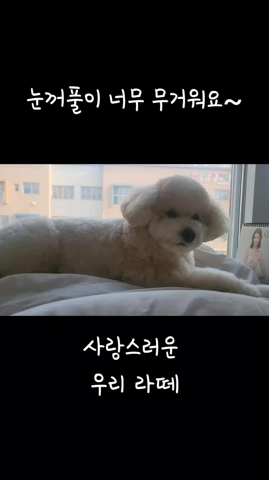 @예쁜라떼