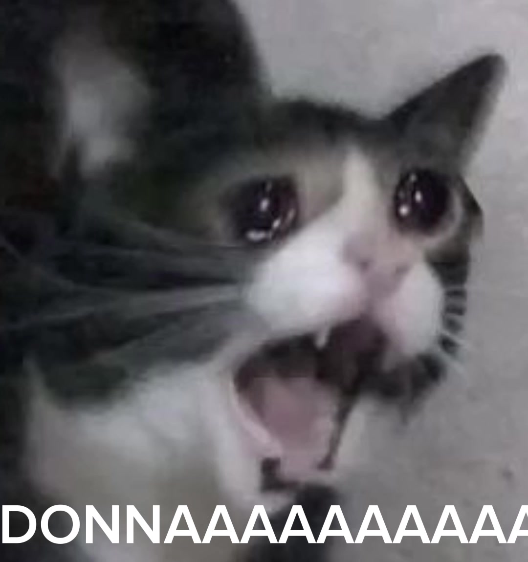 @=^._.^= &int;
