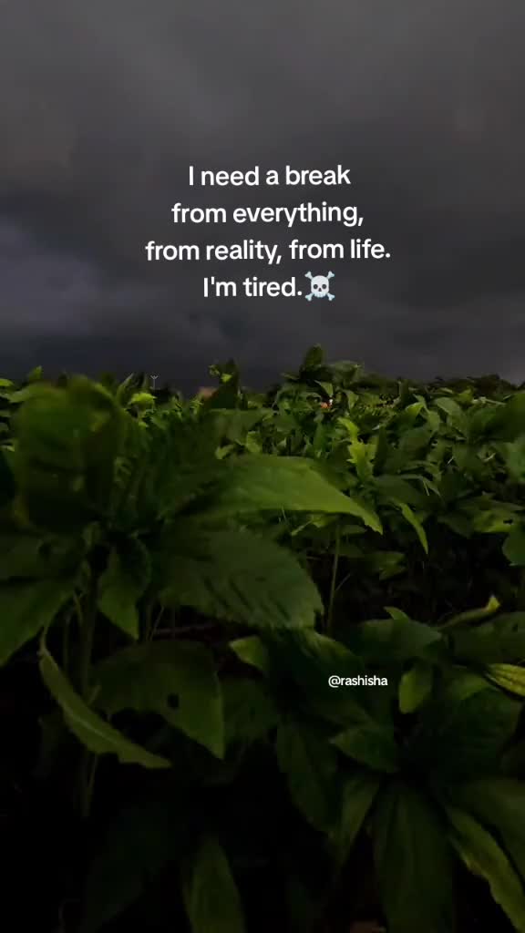 @🍀