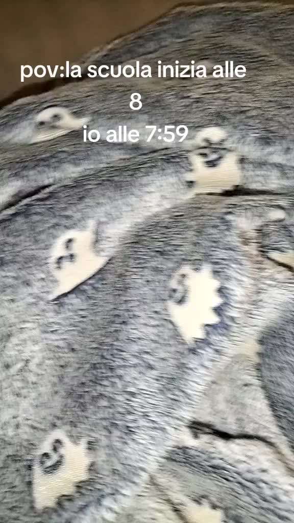 @alba_the_french_buldog