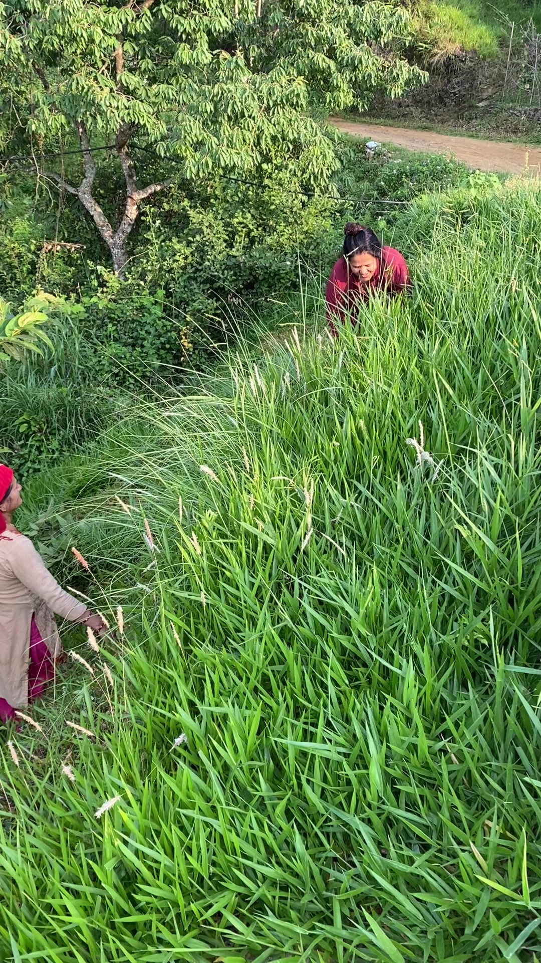 @Gita Poudel