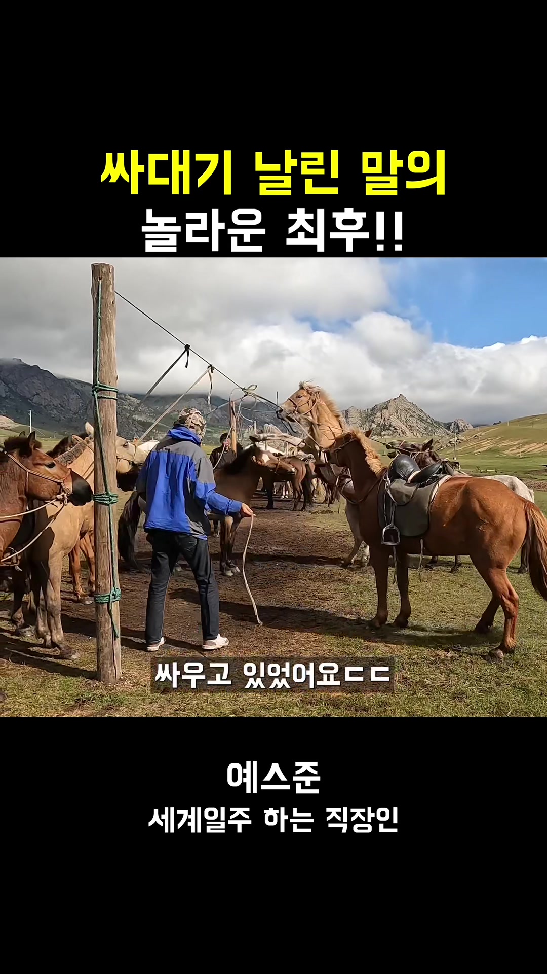 @예스준 - 세계일주 하는 직장인