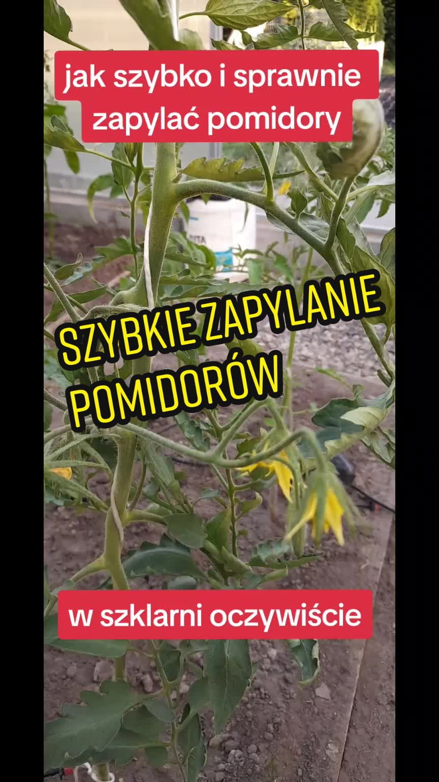 @Marcin ogrodnik