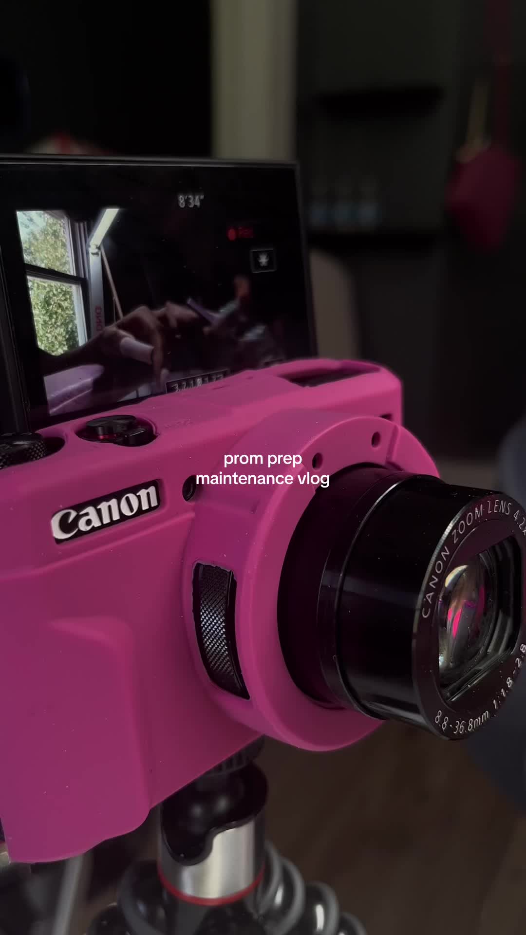 @princess bubblegum <3