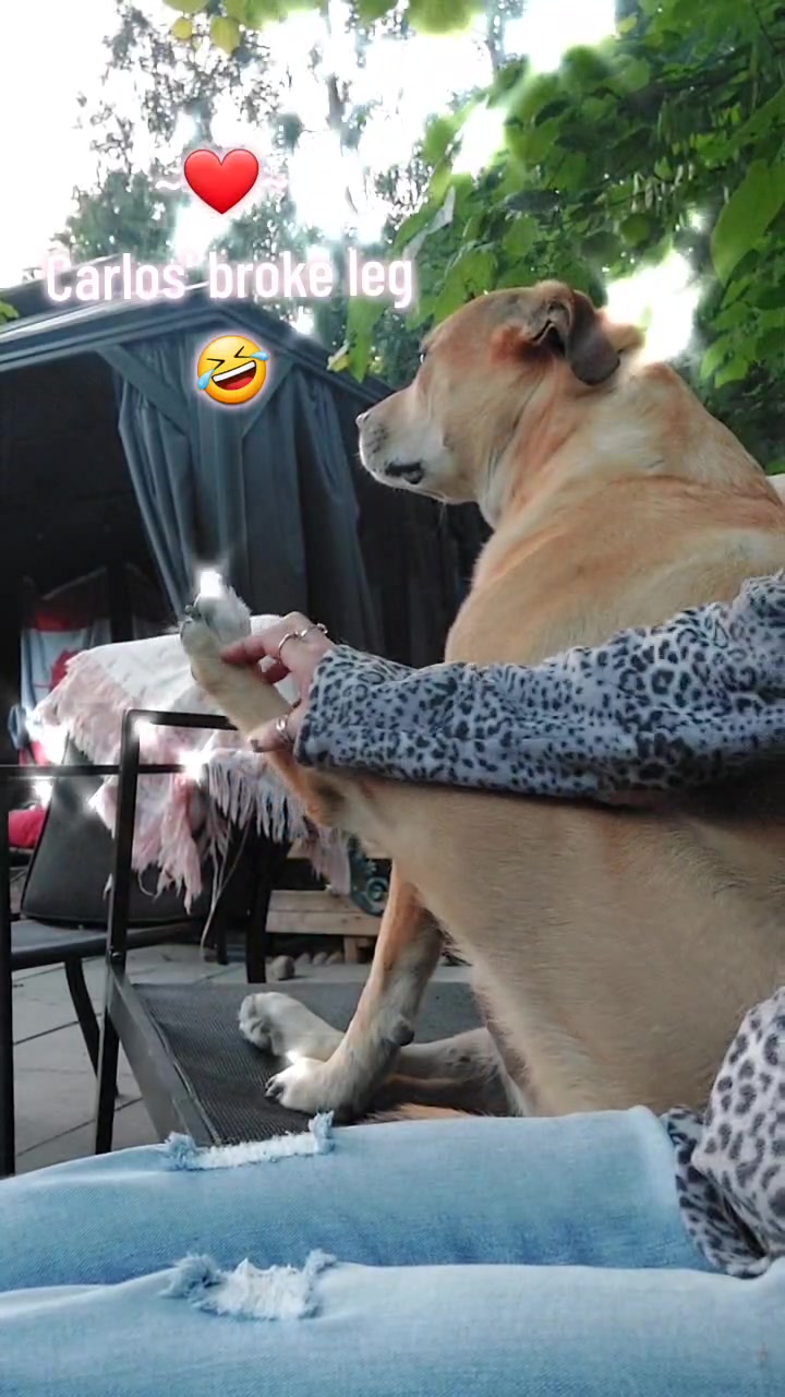 @Thesepupsthough