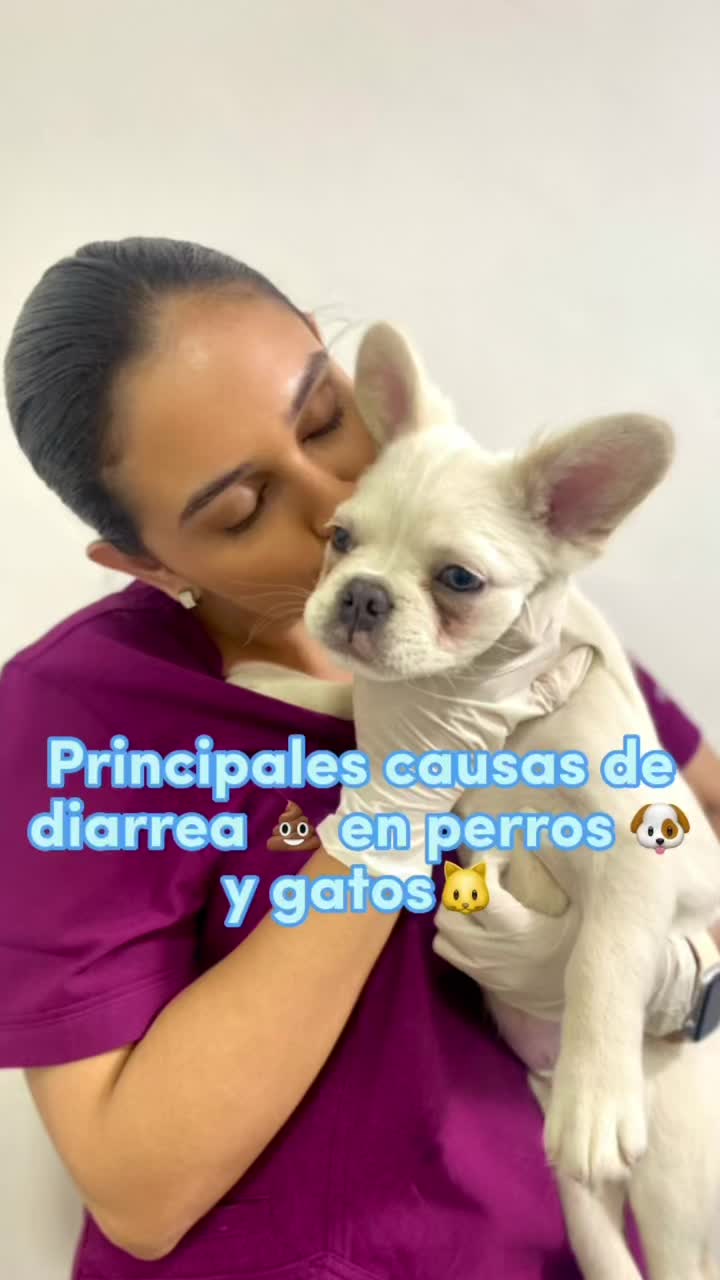 @Mariana&ensp;Parra